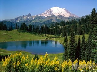 ~ Nature II